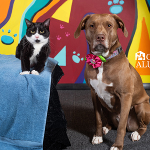 Fundraising Page: Janet Paul